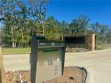 2345 Little Brave Trail - Photo 4