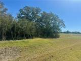 2345 Little Brave Trail - Photo 5