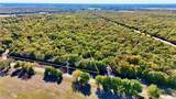 TBD County Road 276 (16 Acres) - Photo 2
