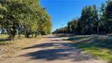 TBD County Road 276 (16 Acres) - Photo 6