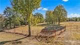 2807 Overlook - Photo 6