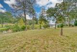 10232 Riley Green Road - Photo 19