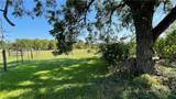 704 Colorado St  (+/-1.601 Acres) - Photo 31