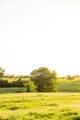 12579 Fm 109 - Photo 15