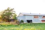 12579 Fm 109 - Photo 16