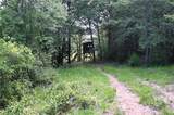 12538 E B Watson County Road - Photo 9