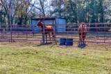 20092 County Road 456 - Photo 20