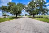24 Daytona Lane - Photo 22