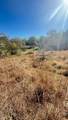 TBD Birch Hill Lane - Photo 5
