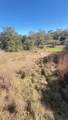 TBD Birch Hill Lane - Photo 6
