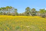 15487 County Road 228 - Photo 11
