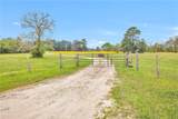 15487 County Road 228 - Photo 2
