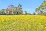 15487 County Road 228 - Photo 4