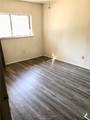 2406 Blanco Drive - Photo 8