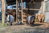 2250 Dillard Road - Photo 40