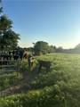 3607 County Road 176 - Photo 20