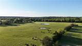 3607 County Road 176 - Photo 6
