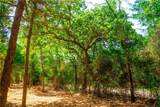 12524 Red Hill Road - Photo 2