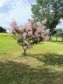 10794 Fm 2159 - Photo 33