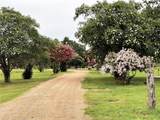 10794 Fm 2159 - Photo 34