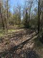 10794 Fm 2159 - Photo 45
