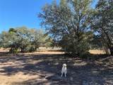 4224 Smalls Creek Road - Photo 4