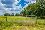 TBD (Lot 26) Legacy Road - Photo 19