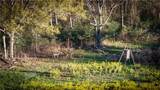 TBD Jackrabbit Lane - Photo 8