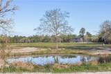 6254 County Road 180 - Photo 7