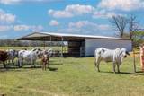 1580 County Road 377 - Photo 45