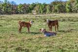 1580 County Road 377 - Photo 46