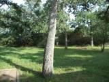 11064 Dowling Road - Photo 2