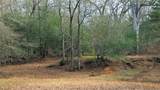 0000 Tract 3 River Ridge Rd - Photo 15