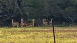 0000 Tract 3 River Ridge Rd - Photo 16