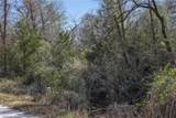0000 Tract 3 River Ridge Rd - Photo 4