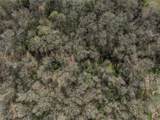 0000 Tract 3 River Ridge Rd - Photo 7