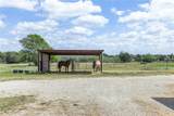 131 Cr 279 - Photo 29