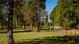 15383 Cr 236 - Photo 19