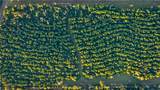 15383 Cr 236 - Photo 22