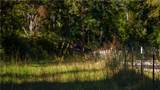 15383 Cr 236 - Photo 29