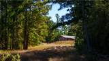 15383 Cr 236 - Photo 31