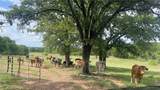 TBD Cr 495 And Fm 320 (+/-60 Acres) - Photo 14