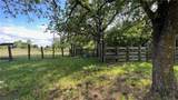 TBD Cr 495 And Fm 320 (+/-60 Acres) - Photo 16