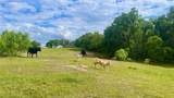 TBD Cr 495 And Fm 320 (+/-60 Acres) - Photo 7