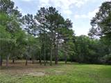 10314 County Road 417A - Photo 14