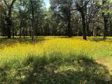 10314 County Road 417A - Photo 15