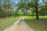 10314 County Road 417A - Photo 3