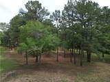 10314 County Road 417A - Photo 42