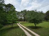 10314 County Road 417A - Photo 7