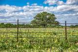 11320 County Road 343 - Photo 7